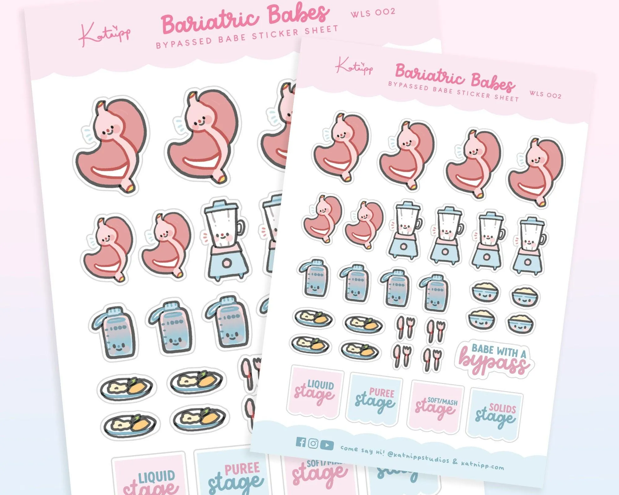 Bariatric Babe Sticker Sheet | Cute Gastric Bypass Planner Stickers | WLS 002